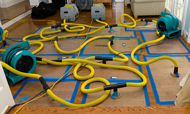 Professional Storm Water Damage Restoration technician working in Ashfield, MA
